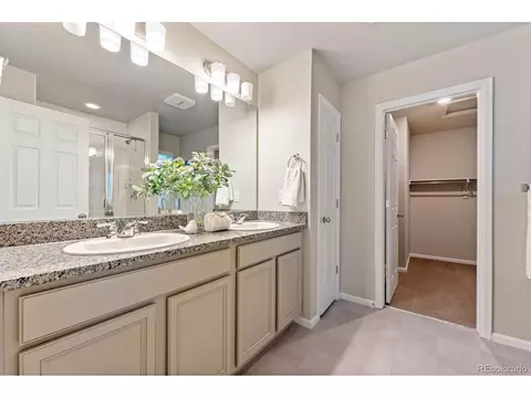 19158 E 64th Pl, Denver, CO 80249 photo 19