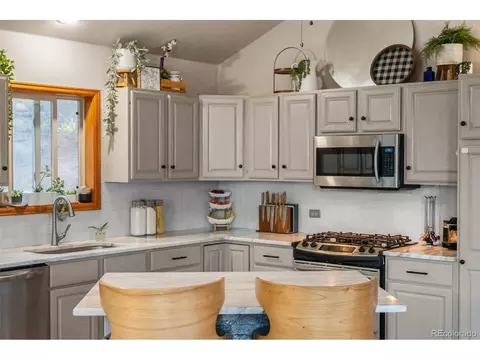 4607 County Road 72, Bailey, CO 80421 photo 17