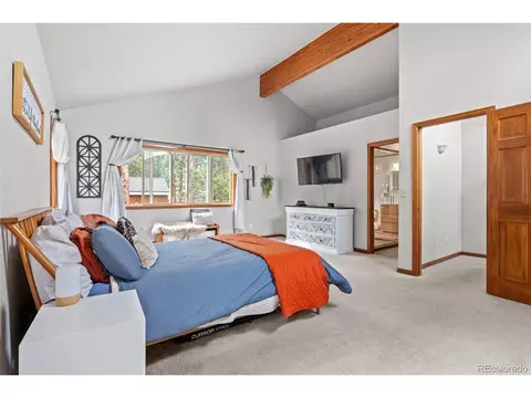 4607 County Road 72, Bailey, CO 80421 photo 23