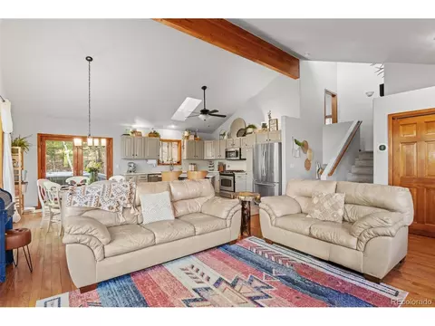 4607 County Road 72, Bailey, CO 80421 photo 21