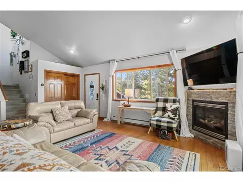 4607 County Road 72, Bailey, CO 80421 photo 10