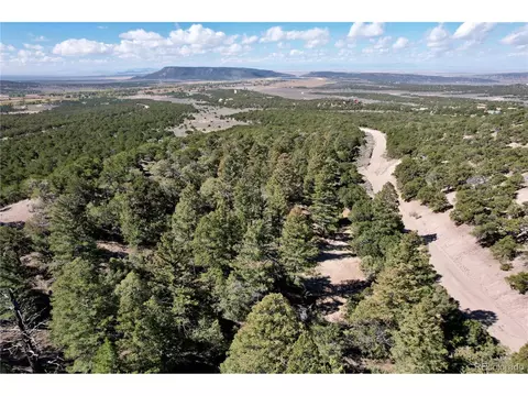 7189 Alligood Rd, Fort Garland, CO 81133