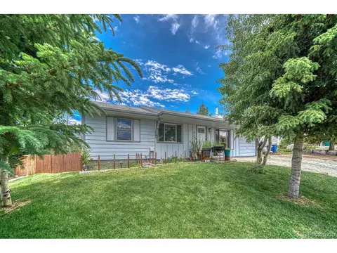 604 W 8th St, Leadville, CO 80461