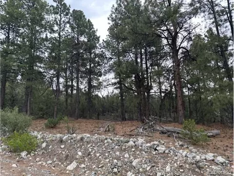 204 Big Bear Rd, Mosca, CO 81146 photo 2