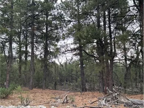 204 Big Bear Rd, Mosca, CO 81146 photo 3