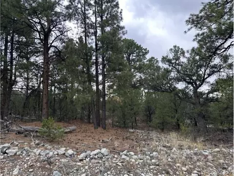 204 Big Bear Rd, Mosca, CO 81146