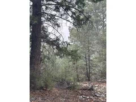 204 Big Bear Rd, Mosca, CO 81146 photo 5
