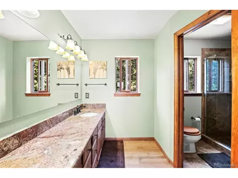 10756 Timothys Dr, Conifer, CO 80433 photo 20