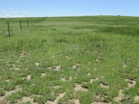 95 Sikes Rnch, Rye, CO 81069 photo 22