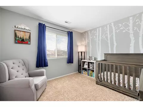 2410 E 127th Ave, Thornton, CO 80241 photo 20
