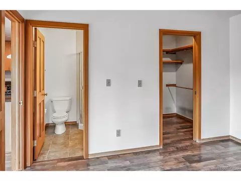 463 Cartier Ct, Dillon, CO 80435 photo 17