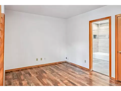 463 Cartier Ct, Dillon, CO 80435 photo 25