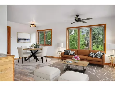 463 Cartier Ct, Dillon, CO 80435 photo 3