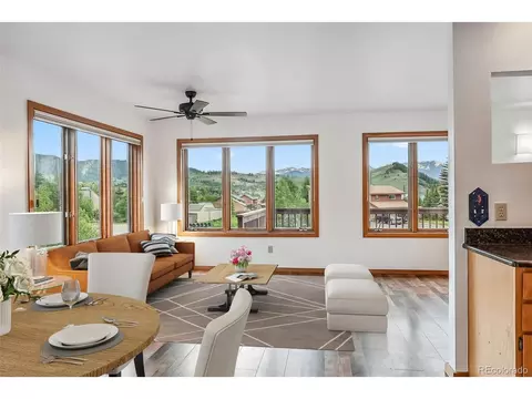 463 Cartier Ct, Dillon, CO 80435