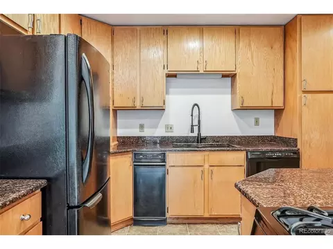 463 Cartier Ct, Dillon, CO 80435 photo 11