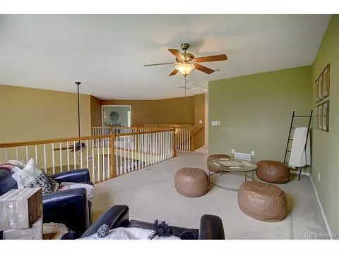 1355 E 100th Ln, Thornton, CO 80229 photo 24