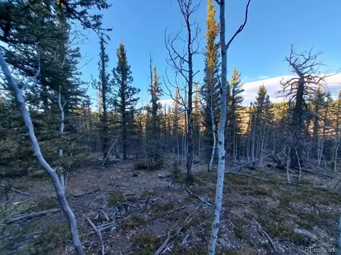 0 Haida Ln, Como, CO 80432