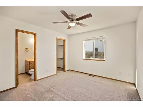 100 E Ilex Ct, Milliken, CO 80543 photo 13