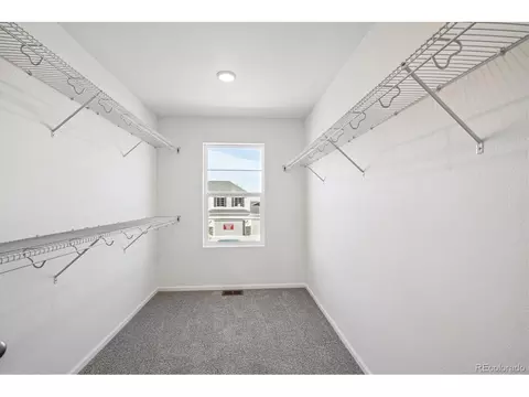 6086 Amerifax Dr, Windsor, CO 80528 photo 15
