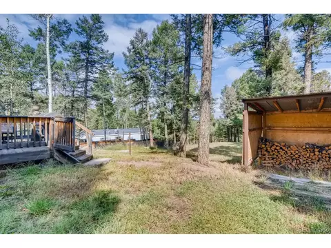 753 Will Stutley Dr, Divide, CO 80814 photo 11