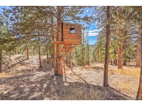 290 Clark Rd, Bailey, CO 80421 photo 31