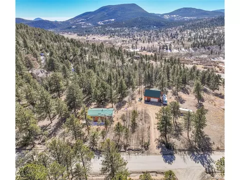 290 Clark Rd, Bailey, CO 80421 photo 9