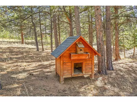 290 Clark Rd, Bailey, CO 80421 photo 29