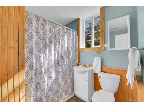 290 Clark Rd, Bailey, CO 80421 photo 21