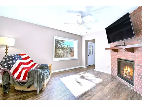 290 Clark Rd, Bailey, CO 80421 photo 14
