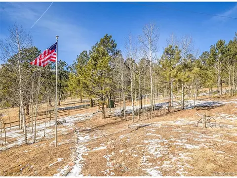 290 Clark Rd, Bailey, CO 80421 photo 26