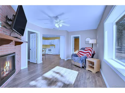 290 Clark Rd, Bailey, CO 80421 photo 15
