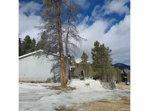 311 N Oak St, Alma, CO 80420 photo 19