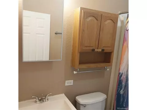 311 N Oak St, Alma, CO 80420 photo 21