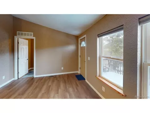 311 N Oak St, Alma, CO 80420 photo 15