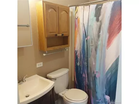 311 N Oak St, Alma, CO 80420 photo 20