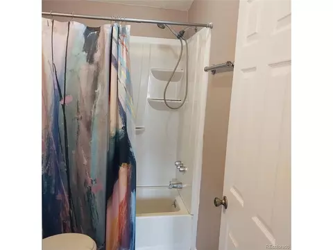 311 N Oak St, Alma, CO 80420 photo 22