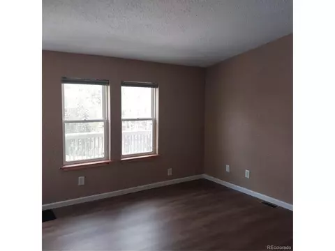 311 N Oak St, Alma, CO 80420 photo 23