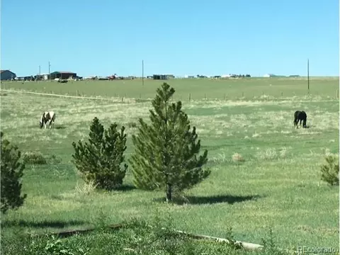 49950 E 48th Ave, Bennett, CO 80102 photo 29
