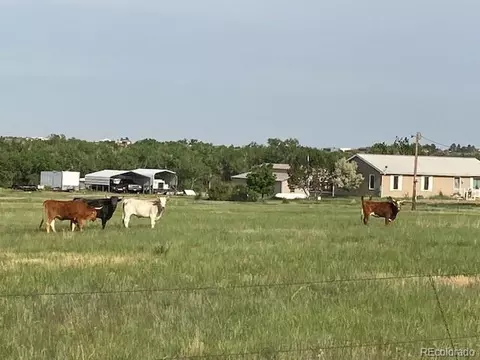 49950 E 48th Ave, Bennett, CO 80102 photo 35