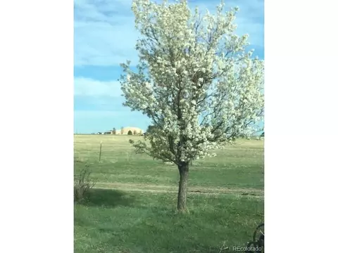 49950 E 48th Ave, Bennett, CO 80102 photo 32