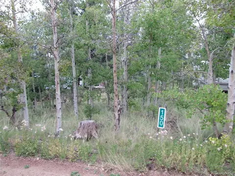 150 Lantern Loop, Hartsel, CO 80449 photo 3