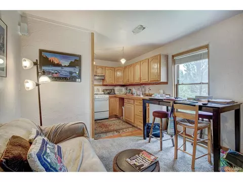 312 W Buffalo St, Dillon, CO 80435 photo 21
