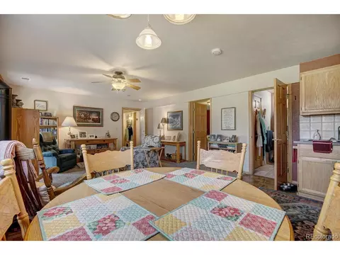 312 W Buffalo St, Dillon, CO 80435 photo 29