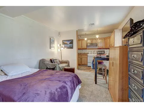 312 W Buffalo St, Dillon, CO 80435 photo 20