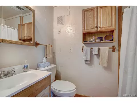 312 W Buffalo St, Dillon, CO 80435 photo 23