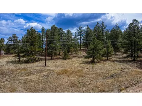 663 County Road 421, Florissant, CO 80816