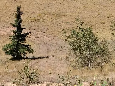 769 Sharps Way, Como, CO 80432 photo 6