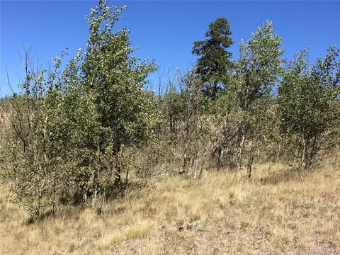 769 Sharps Way, Como, CO 80432 photo 11