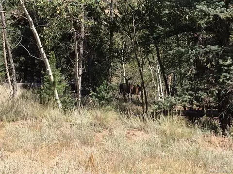 769 Sharps Way, Como, CO 80432 photo 10