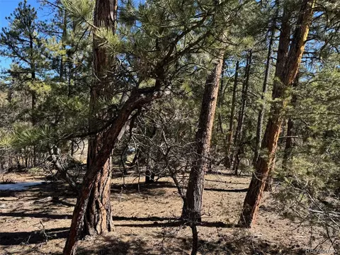211 Bear Ln, Cotopaxi, CO 81223